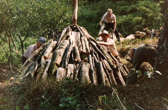  Image name: 20 Carbonai.jpg 
 width: 342 pixel 
 height: 224 pixel 
 Size: 45414 bytes 
 Click to enlarge 